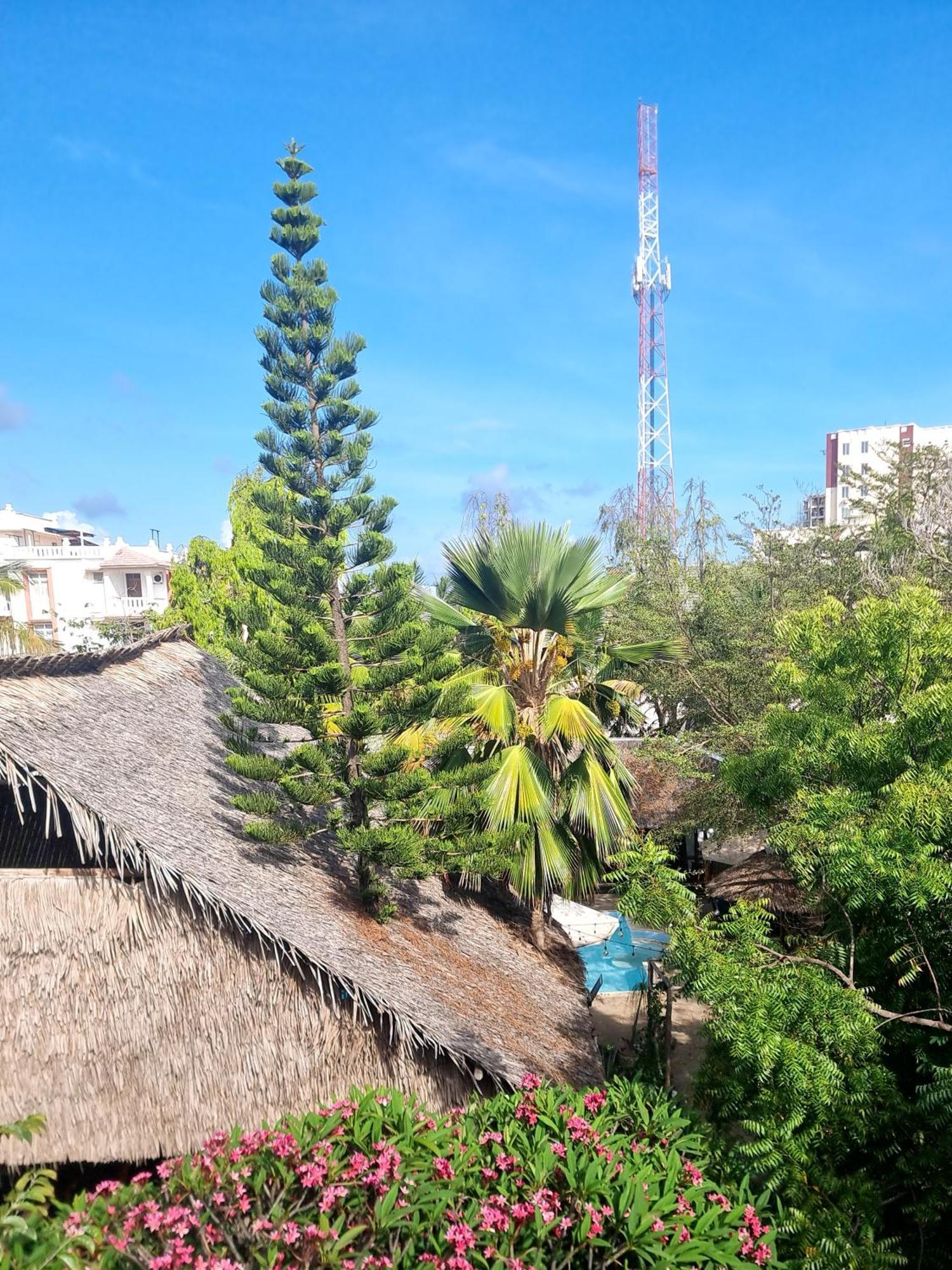 Hostel Tulia House Backpackers Mombasa Exterior foto